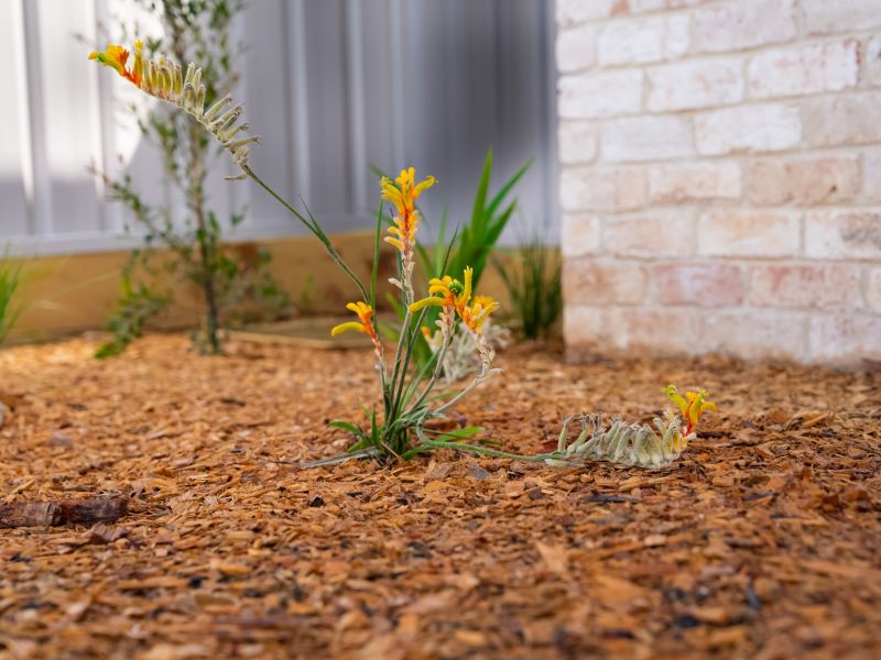 Lakeside Civil & Landscapes