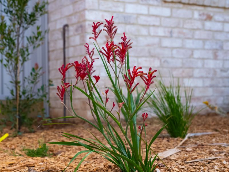 Lakeside Civil & Landscapes