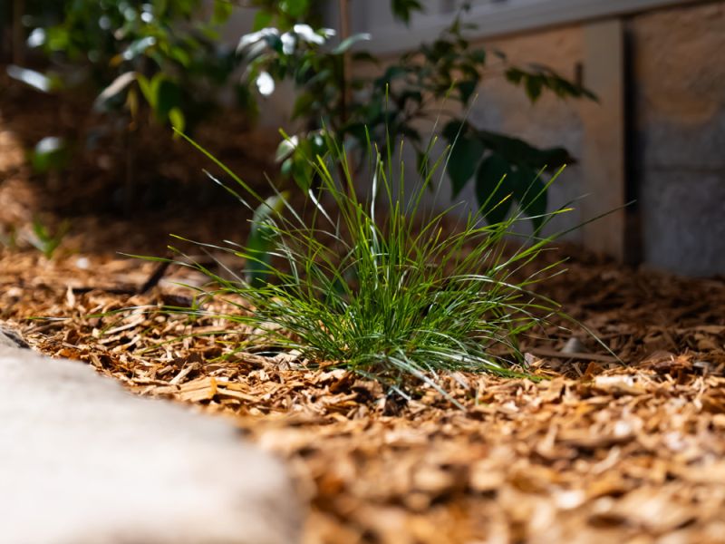 Lakeside Civil & Landscapes