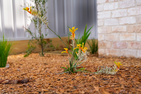 Lakeside Civil &amp; Landscapes